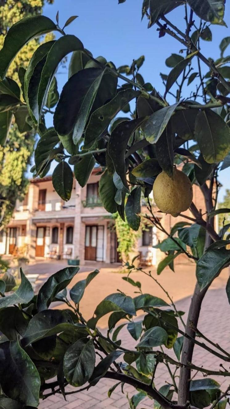 Il Ghiandolino Villa Imola Kültér fotó